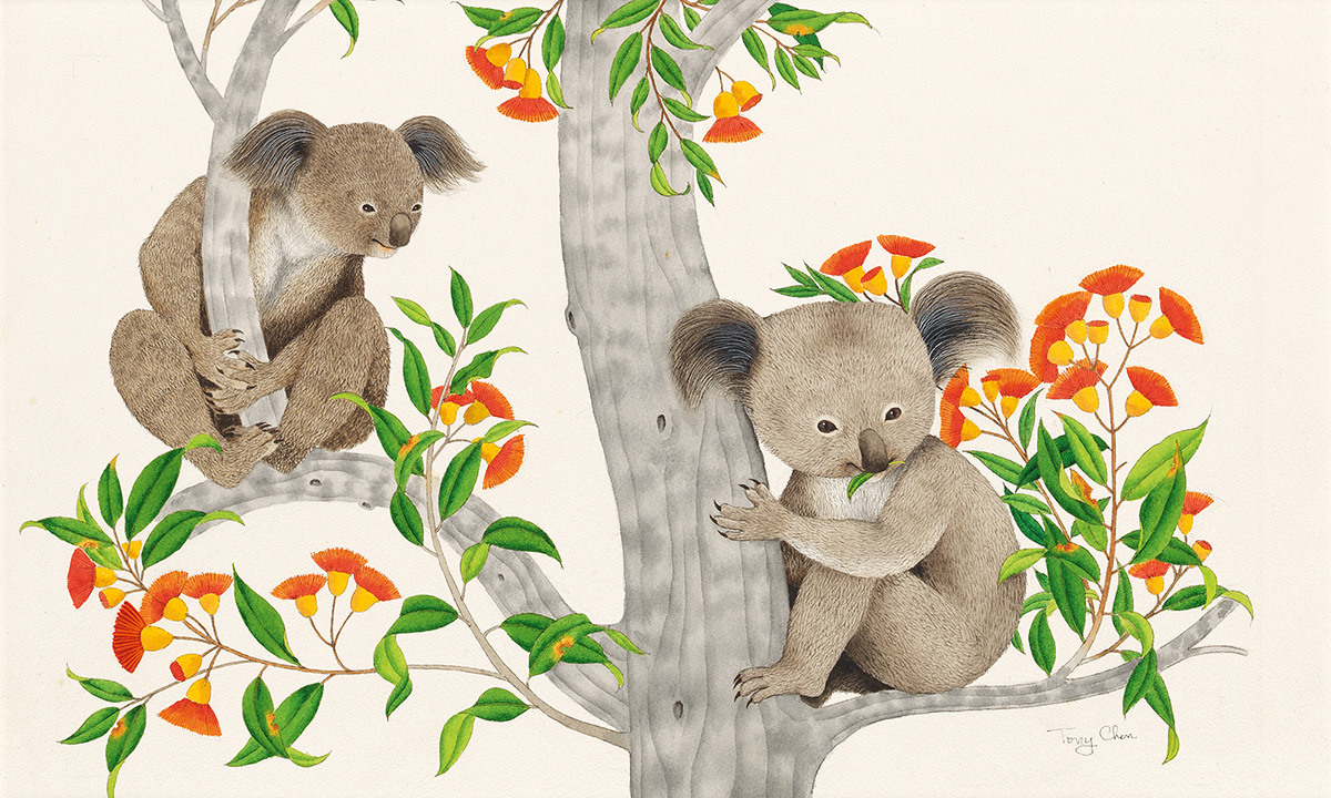 TONY CHEN (1929- ) Little Koala. [CHILDRENS]